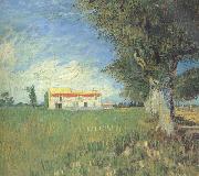 Farmhous in a Wheat Field (nn04) Vincent Van Gogh